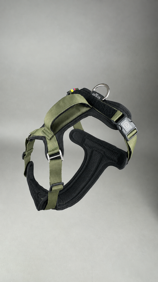 Pechera Fortex VERDE MILITAR + Traílla GRATIS