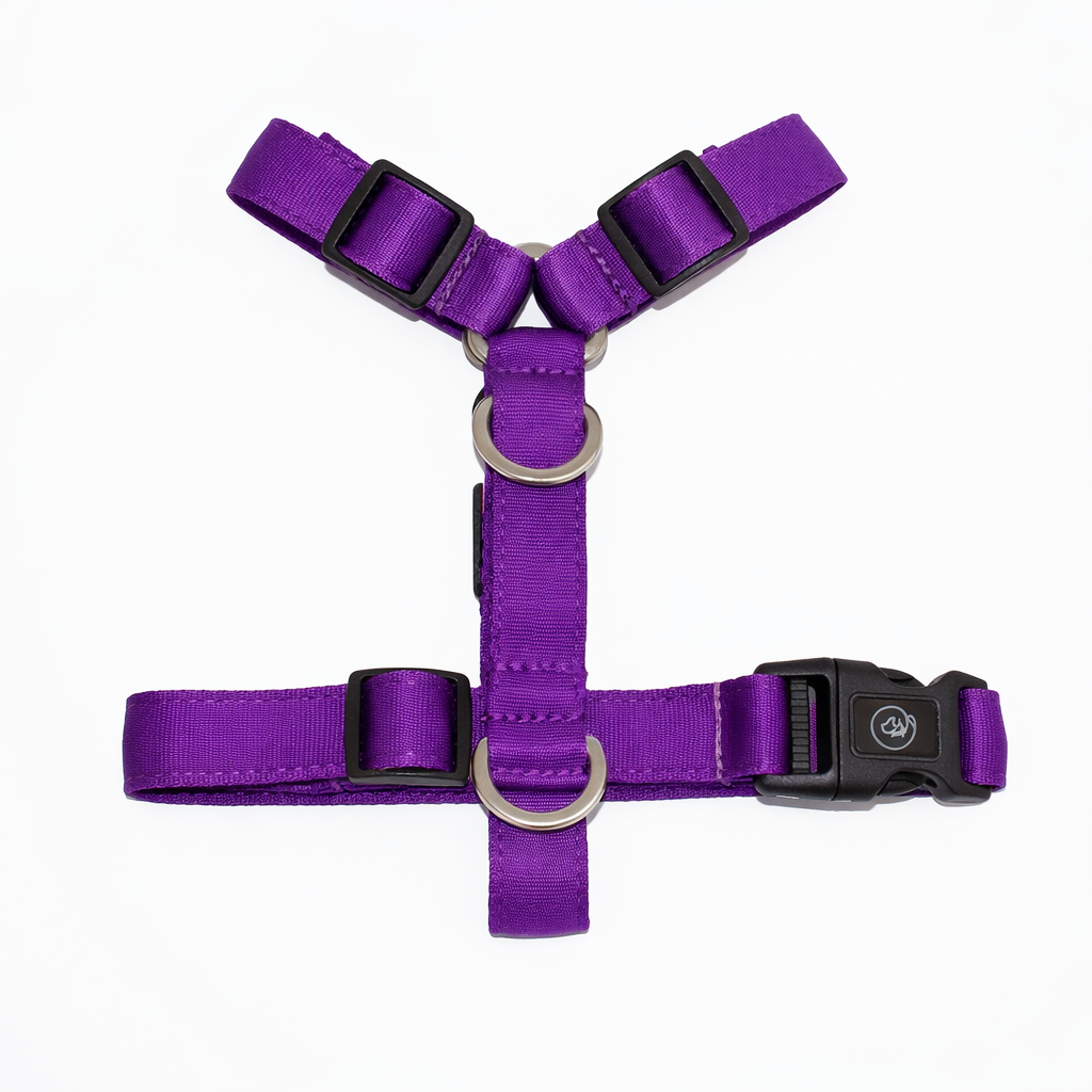 Arnés en H Morado