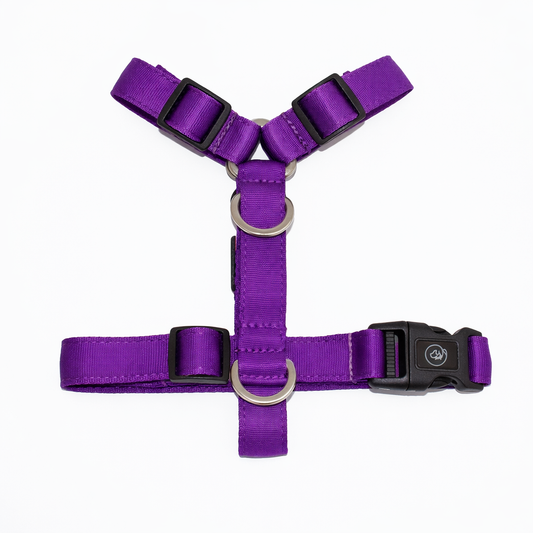 Arnés en H Morado