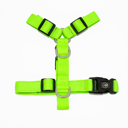 Arnés en H Verde neón