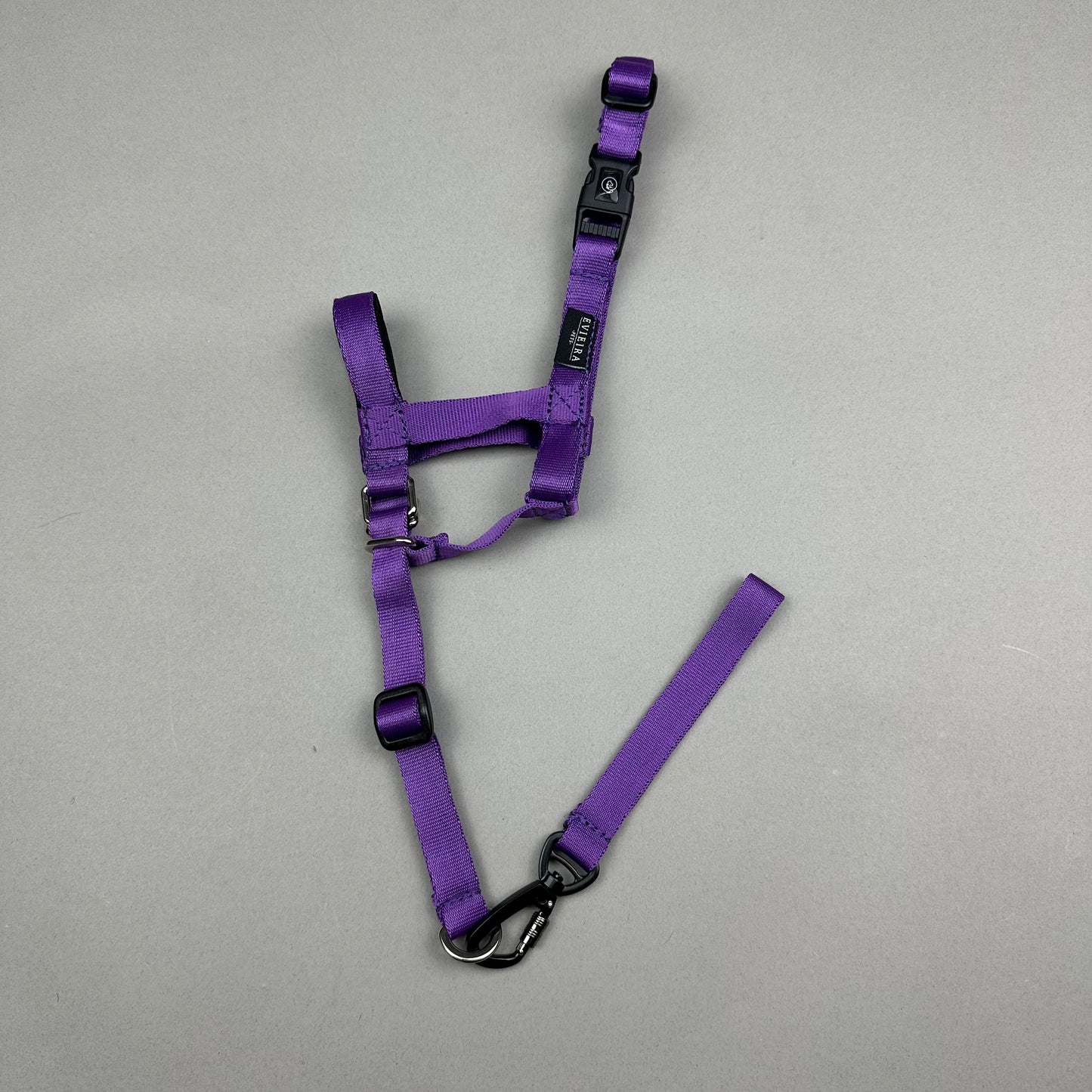 Halti MORADO