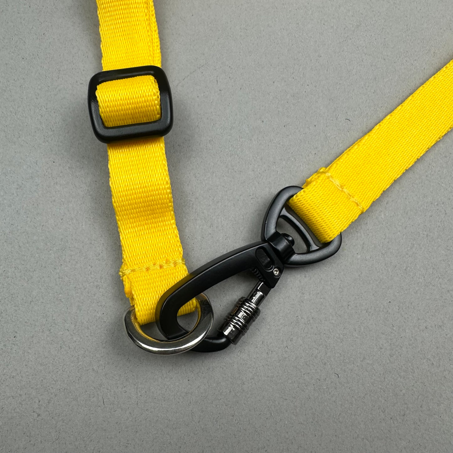 Halti AMARILLO