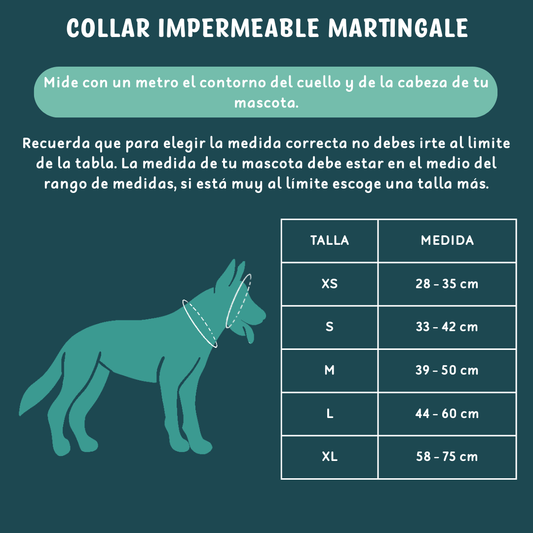 Collar martingale impermeable CHERRY