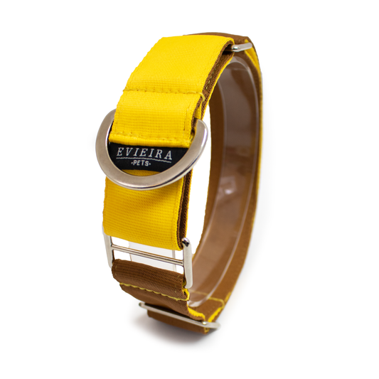Collar martingale Honey