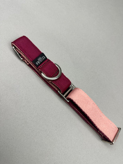 Collar martingale Piggie