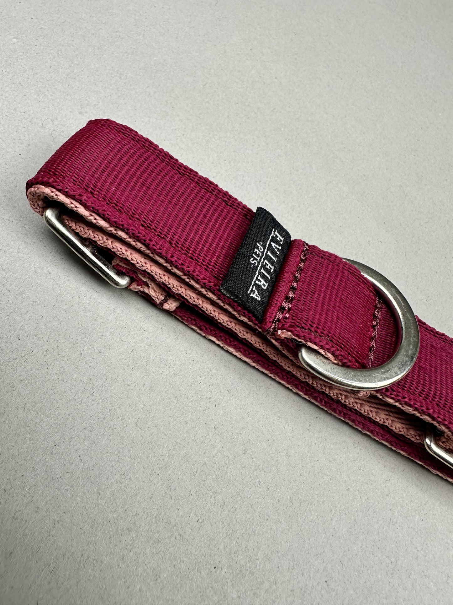 Collar martingale Piggie