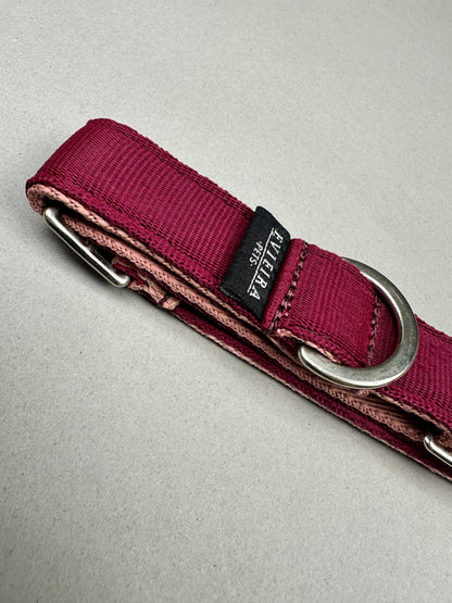 Collar martingale Piggie