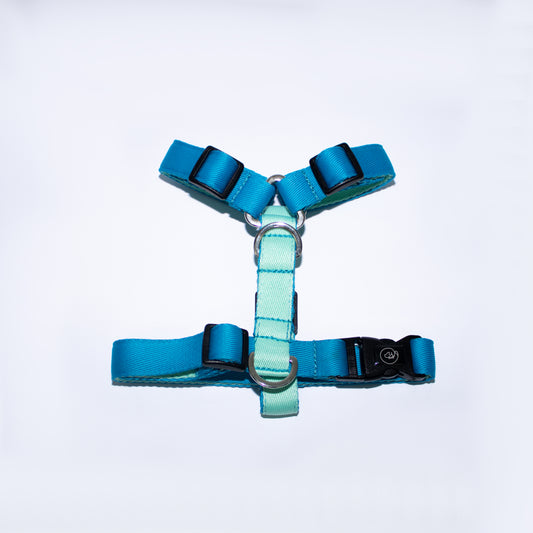 Arnés Aqua mini