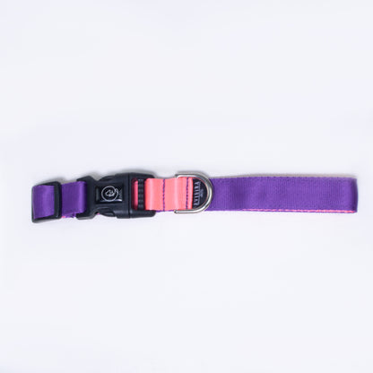 Collar básico Euforia