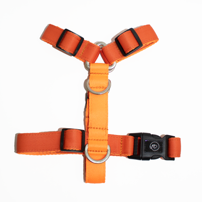 Arnés en H Orange