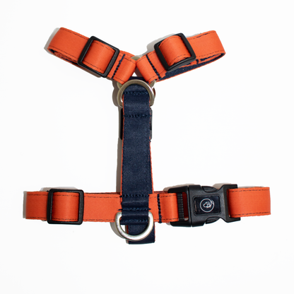 Arnés en H Complemento