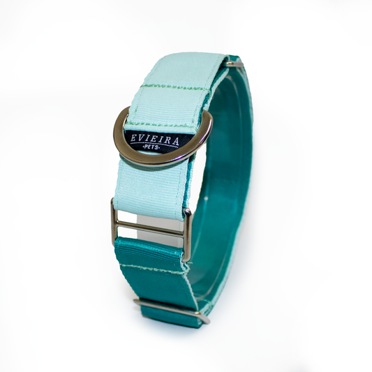 Collar martingale Minty