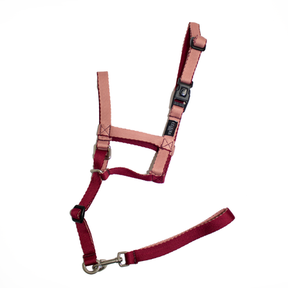 Halti 2.0 (gentle leader)