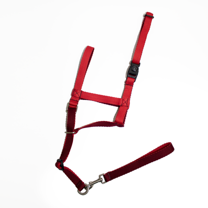 Halti 2.0 (gentle leader)