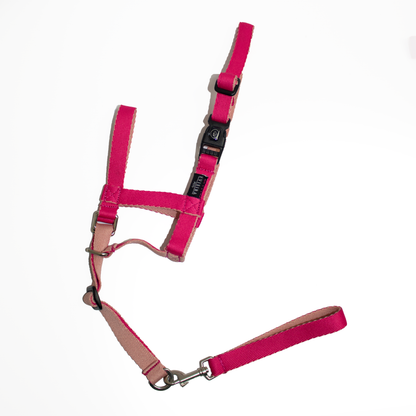 Halti 2.0 (gentle leader)