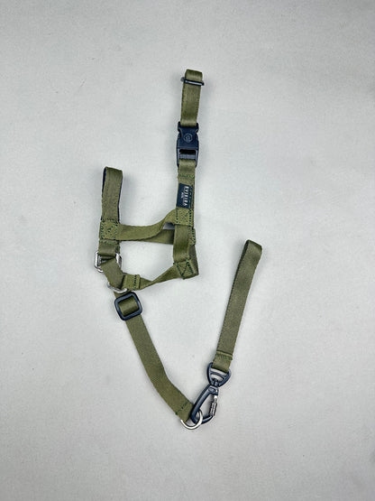 Halti VERDE MILITAR