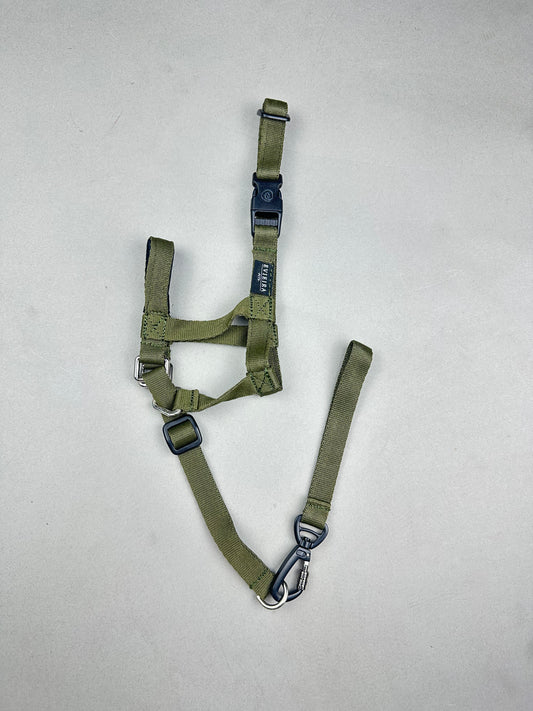 Halti VERDE MILITAR