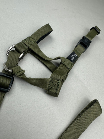 Halti VERDE MILITAR