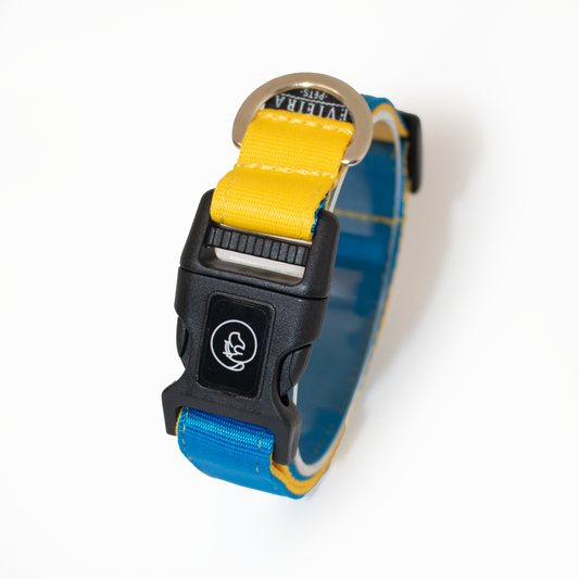 Collar básico Sunny