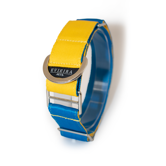 Collar martingale Sunny