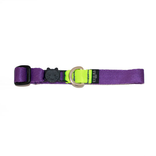 Collar gato Vibrant