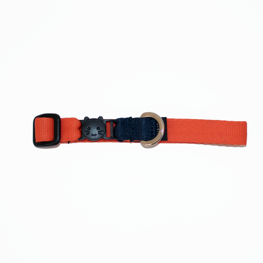 Collar gato Complemento