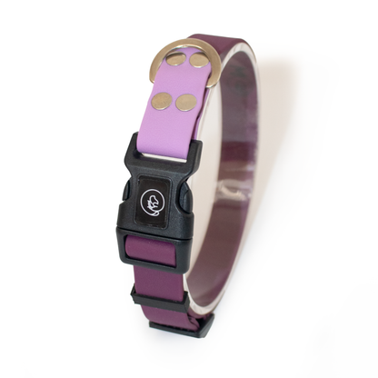 Collar impermeable LILAC