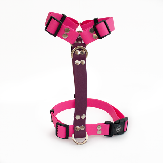 Arnés en H impermeable Gloom