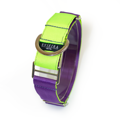 Collar martingale Vibrant