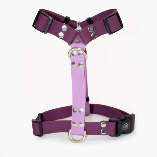 Arnés en H impermeable Lilac