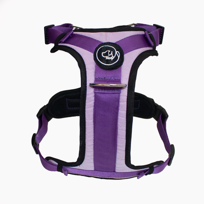 Pechera Fortex Lila-Morado