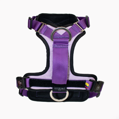 Pechera Fortex Lila-Morado