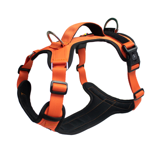 Pechera Fortex Naranja