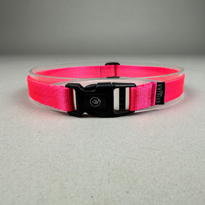 Collar de Identificación