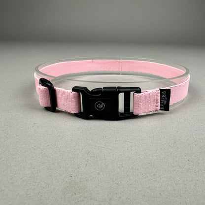 Collar de Identificación