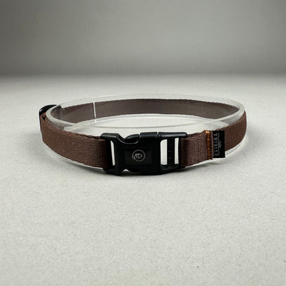 Collar de Identificación
