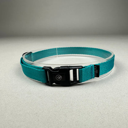 Collar de Identificación