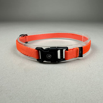 Collar de Identificación