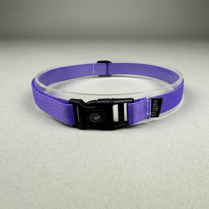 Collar de Identificación