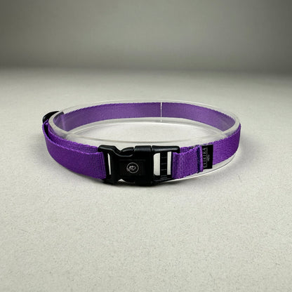 Collar de Identificación
