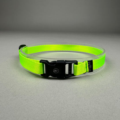 Collar de Identificación