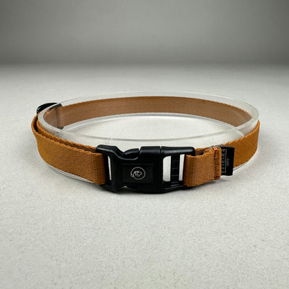 Collar de Identificación
