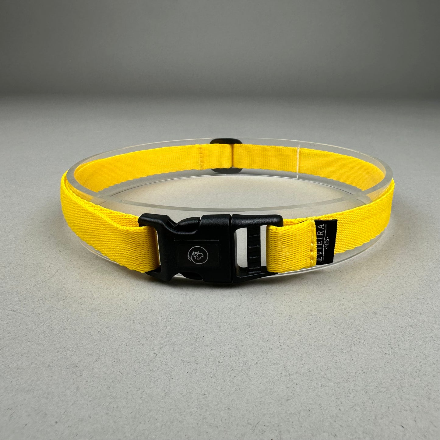 Collar de Identificación