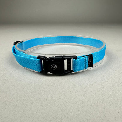 Collar de Identificación