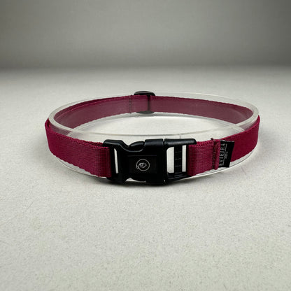 Collar de Identificación
