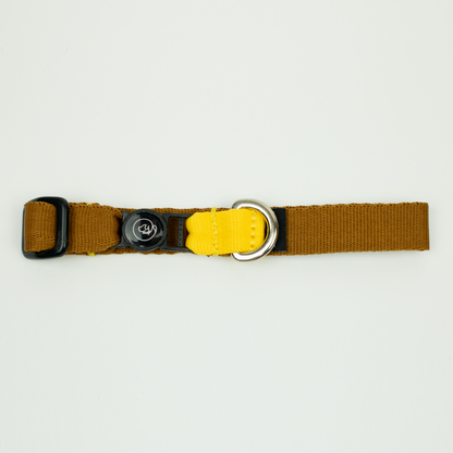 Collar de gato Honey