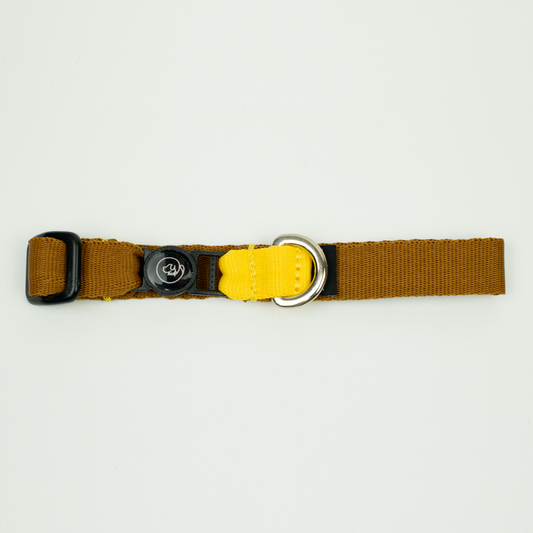 Collar de gato Honey