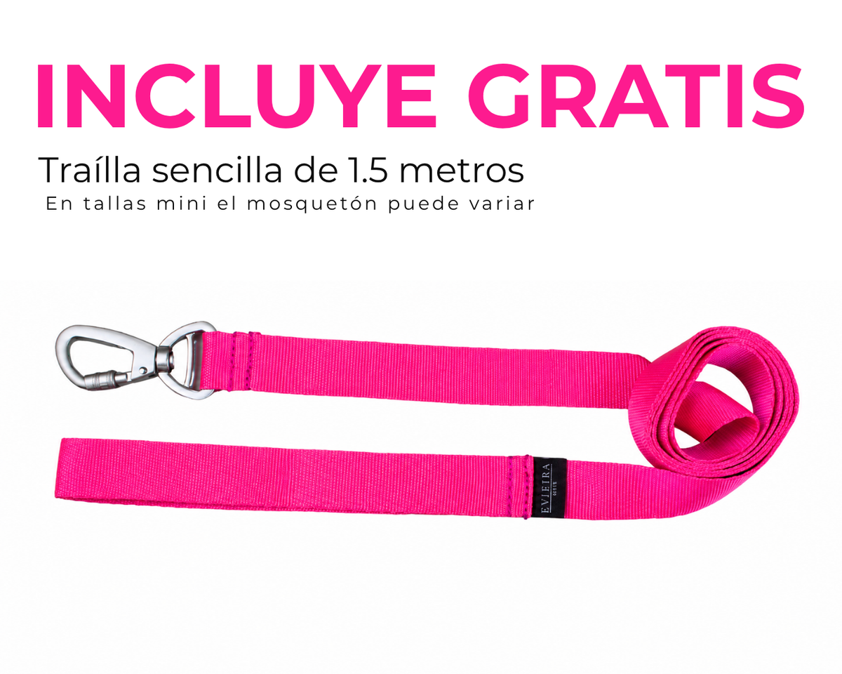 Arnés en H Fucsia + trailla GRATIS