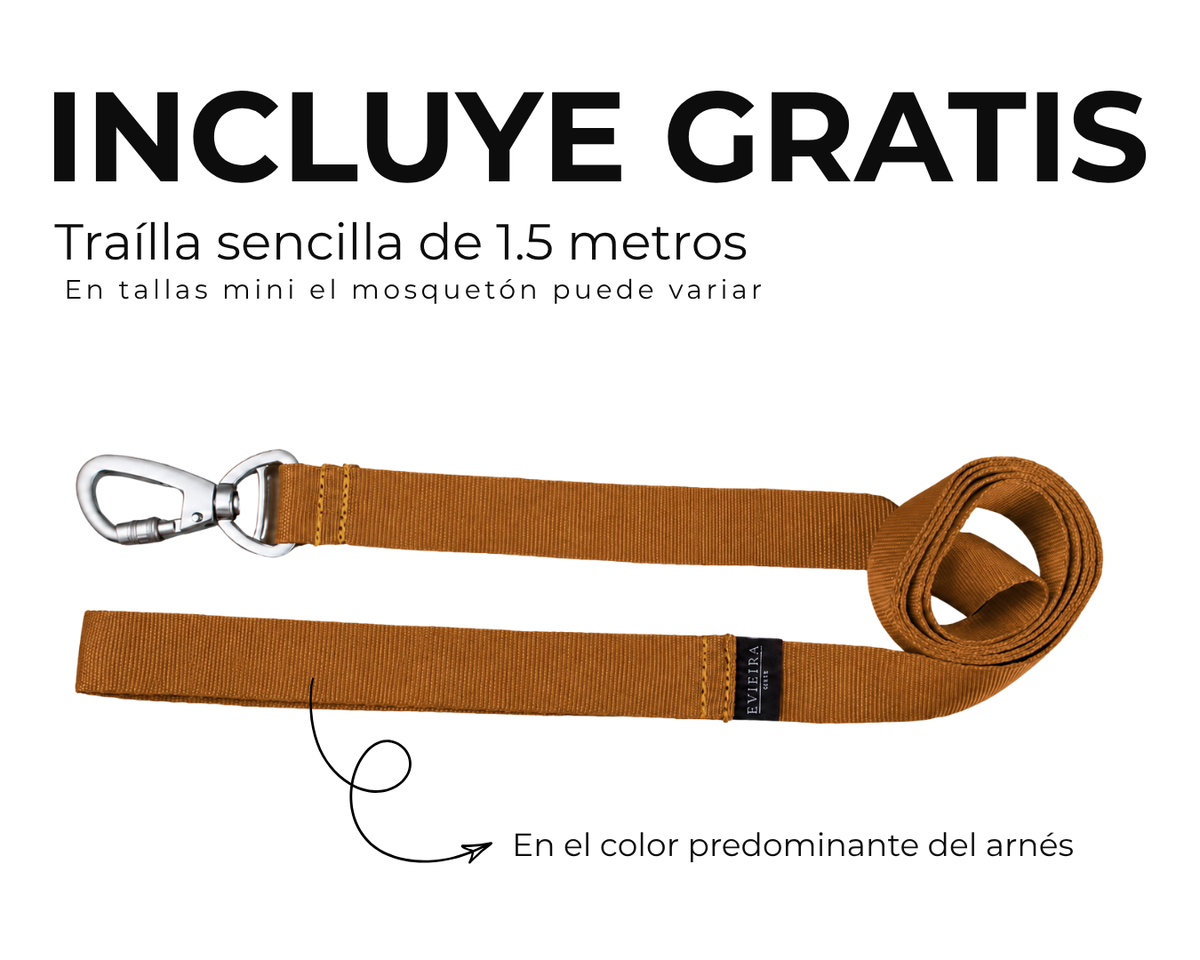 Arnés en H Honey + trailla GRATIS