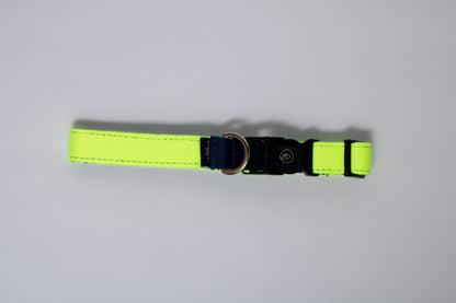 Collar básico Police